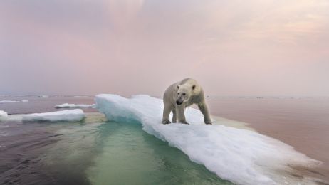 Topnienie lodowców: jakie będą jego skutki w przyrodzie? Jak szybko topnieją lodowce? (fot. Getty Images)