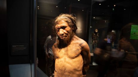 Geny odpowiadające za ciężki przebieg COVID-19 pochodzą od neandertalczyków - uznali naukowcy (fot. Getty Images)