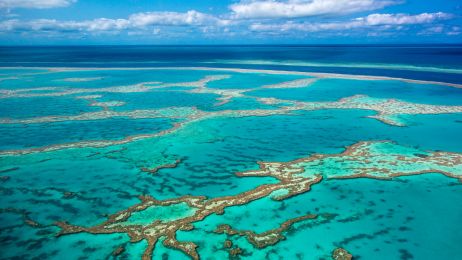 Wielka Rafa Koralowa blaknie i obumiera (fot. Getty Images)