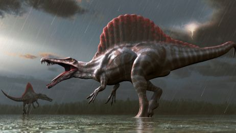 Epizod masowego wymierania z górnego triasu mógł utorować drogę do rozwoju dinozaurów (fot. Getty Images)