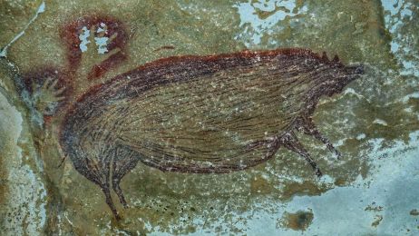 Nowe, prawdopodobnie najstarsze malowidło naskalne przedstawia świnie