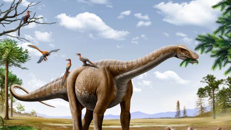 Odkryty dinozaur nie został jeszcze nazwany, ale najpewniej był większy od swoich znanych już krewnych (fot. Getty Images)
