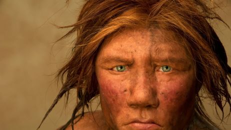 Kobieta neandertalczyka