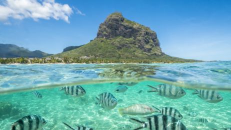 Nie będziesz chciał tego miejsca opuścić. Mauritius to raj na Ziemi