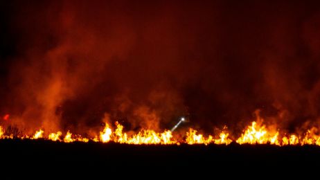 Pożar w Biebrzańskim Parku Narodowym 20 kwietnia 2020 roku