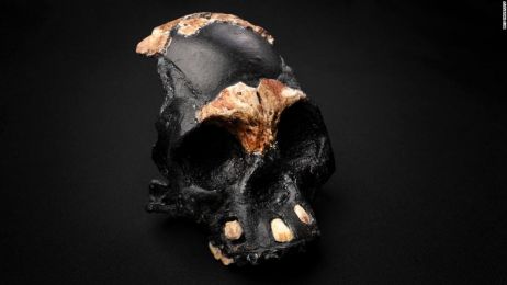 Naukowcy odnaleźli czaszkę dziecka Homo naled