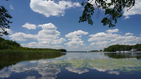 Jeziora w lubuskim - TOP10 miejsc nad wodą