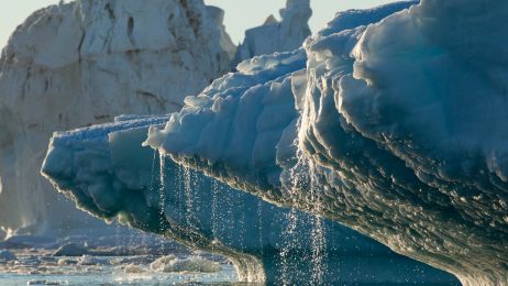 NASA zakończyła 6-letnią misję na Grenlandii. Co nowego wiemy o topnieniu lodowców?