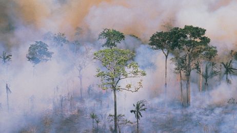 pożar w Amazonii