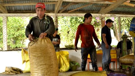 Kawa to także ludzie, którzy za nią stoją. O kawach z Gwatemali i Boliwii, sytuacji producentów i świecie nierówności rozmawiamy z założycielkami projektu 88  Grains [TYLKO O KAWIE]