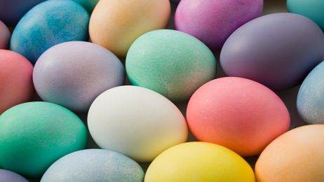 Od czego zależy, jaki kolor ma skorupka jajka? (fot. Getty Images)