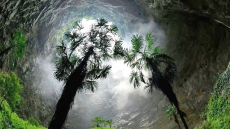 W Chinach odkryto zapadlisko z lasem na dnie. Na głębokości kilkuset metrów mogą żyć nieznane nauce zwierzęta