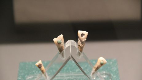 zęby Majów