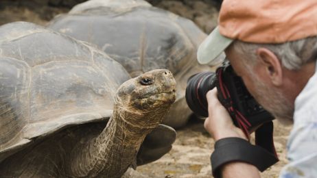 Wyspy Galapagos: władze podejrzewają, że ludzie polują i zjadają żółwie