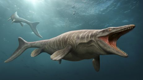 Mozazaur – wielkość tego morskiego gada robi wrażenie! W czasach dinozaurów to mozazaury rządziły morzami (fot. Getty Images)