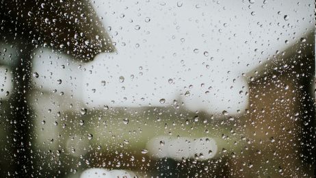Kwaśne deszcze – jak powstają i jakie są ich skutki? (fot. Getty Images)