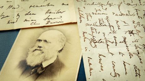 Teoria ewolucji od Darwina po współczesność. Jak ewoluowała jedna z najważniejszych koncepcji w nauce? (fot. Peter Macdiarmid/Getty Images)