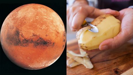 Gotowi do przeprowadzki na Marsa? W potencjalnych miastach mogą stanąć domy z ziemniaków