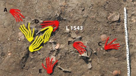 Makabryczne odkrycie w Egipcie. W pałacu znaleziono odcięte dłonie