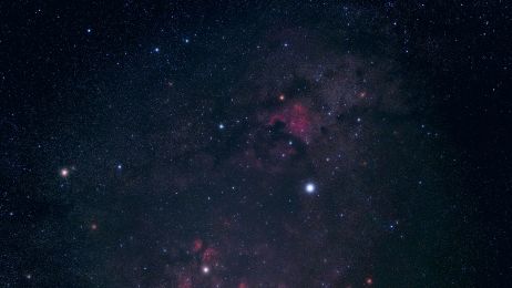 Gwiazdozbiór Łabędzia – gdzie jest na niebie? Charakterystyka, pochodzenie, mitologia, znaczenie (fot. Getty Images)
