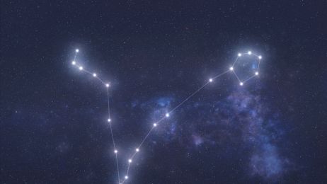 Gwiazdozbiór Ryb – gdzie jest na niebie? Charakterystyka, pochodzenie, mitologia, znaczenie (ryc. Sutterstock)