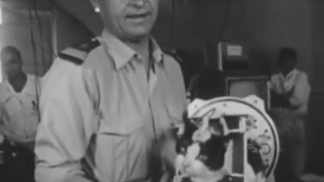 Félicette 60 lat temu poleciała w kosmos jako pierwszy i jedyny kot. Jej późniejsze losy zaskakują (Fot. INA.fr / YouTube)