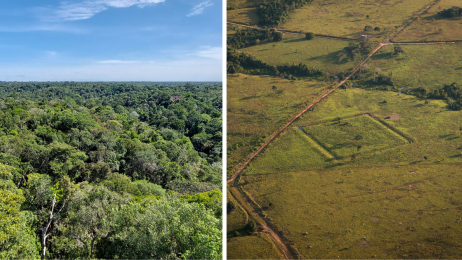 Nawet ponad 10 tys. nieznanych stanowisk archeologicznych czeka na odkrycie w Amazonii / Fot. Hans ter Steege/Diego Lourenço Gurgel