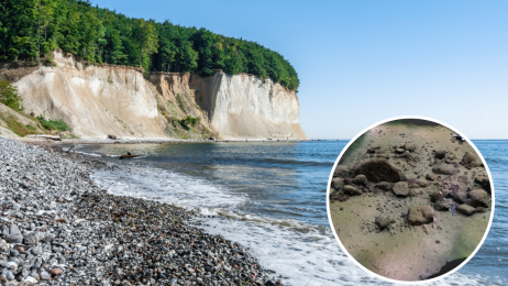 W Bałtyku odkryto konstrukcję sprzed 10 tys. lat. Wiadomo, do czego służyła