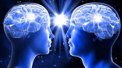 Czy ludzkie mózgi są neutralne płciowo?