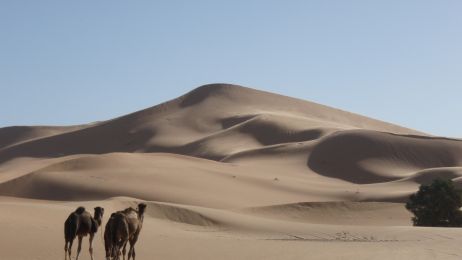 Odkryto sekret tajemniczej wydmy gwiaździstej na Saharze. Powstała w niespodziewany sposób