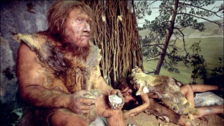 Neandertalczycy trzymaliby kosze pod zlewem? Możliwe, gdyż organizowali sobie przestrzeń mieszkalną podobnie jak ludzie