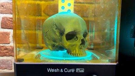 Powstał wydruk 3D czaszki „wampirki” z Pnia. To pierwszy krok w rekonstrukcji jej twarzy