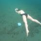 Rosyjska pływaczka nie miała na sobie płetw ani pianki, a jedynie zwykły kostium kąpielowy (fot. Youtube/Jekaterina Nekrasowa)