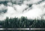 Lasy, góry, mgła... Zdjęcia Dylana Fursta