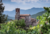 Ceserana to jedno z wielu toskańskich miasteczek położonych na porośniętych winoroślą wzgórzach