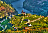 Autem przez winnice Portugalii