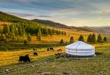 Mongolia: Przestrzenie dla zaprawionych w boju
