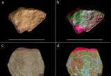Zaskakujące odkrycie: paleolityczne rysunki wyryte w kamieniu były najwcześniejszą, prymitywną formą animacji? (fot. Needham et al., PLoS One)