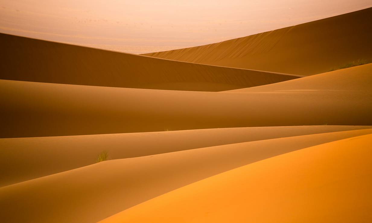 Dariusz Bruhnke – "Linie pustyni"