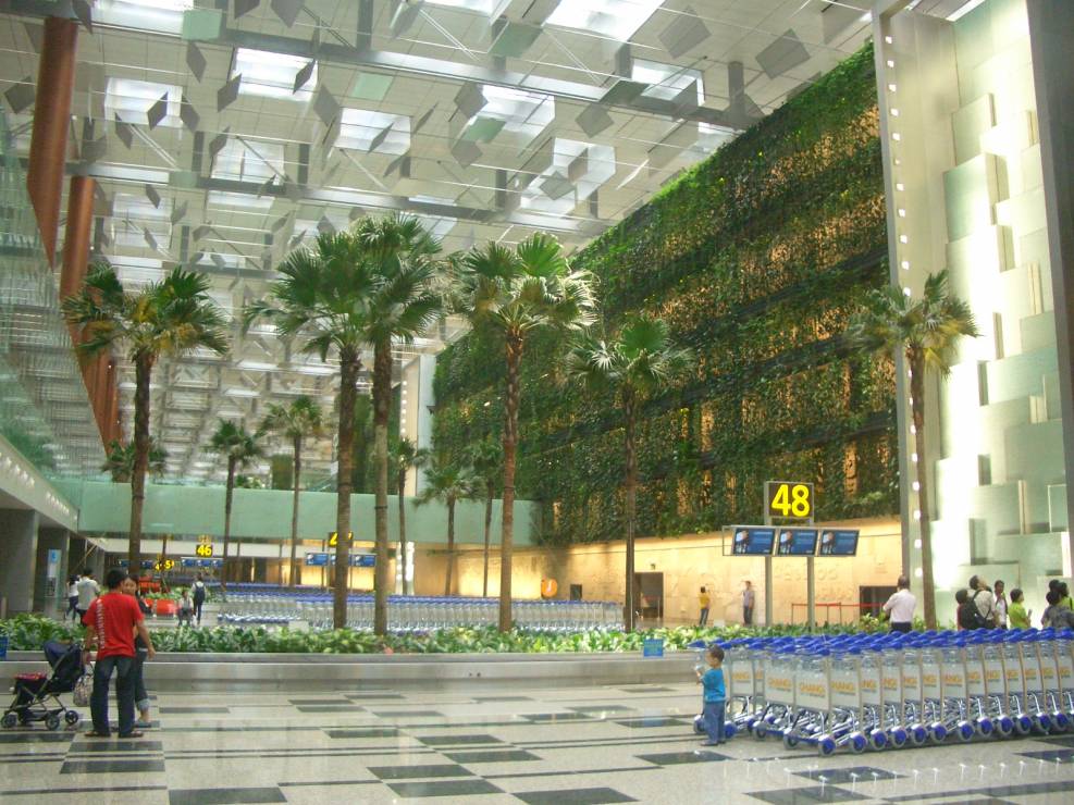 Changi_airport_terminal_3zz (1)