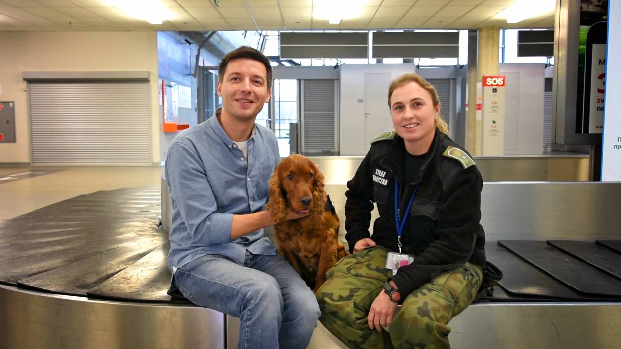 Psy straż graniczna lotnisko