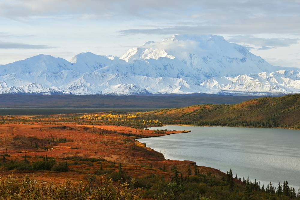 Park Narodowy Denali, Alaska