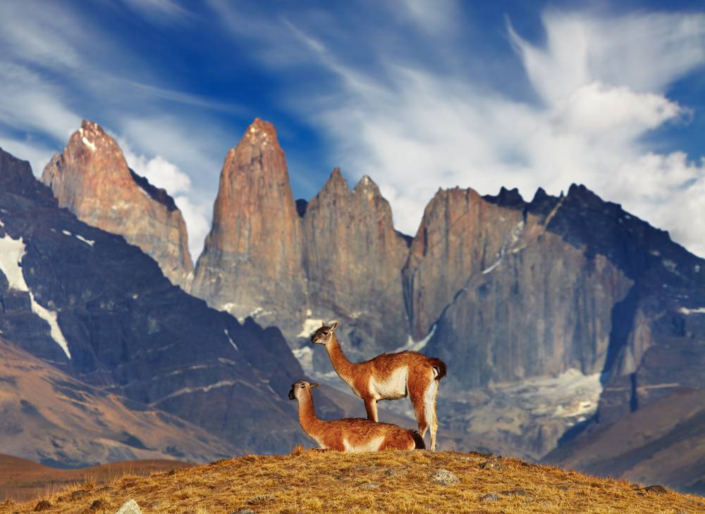 Park Narodowy Torres del Paine, Chile, Ameryka Południowa