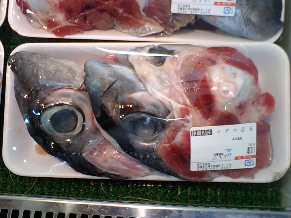4. Oko tuńczyka.