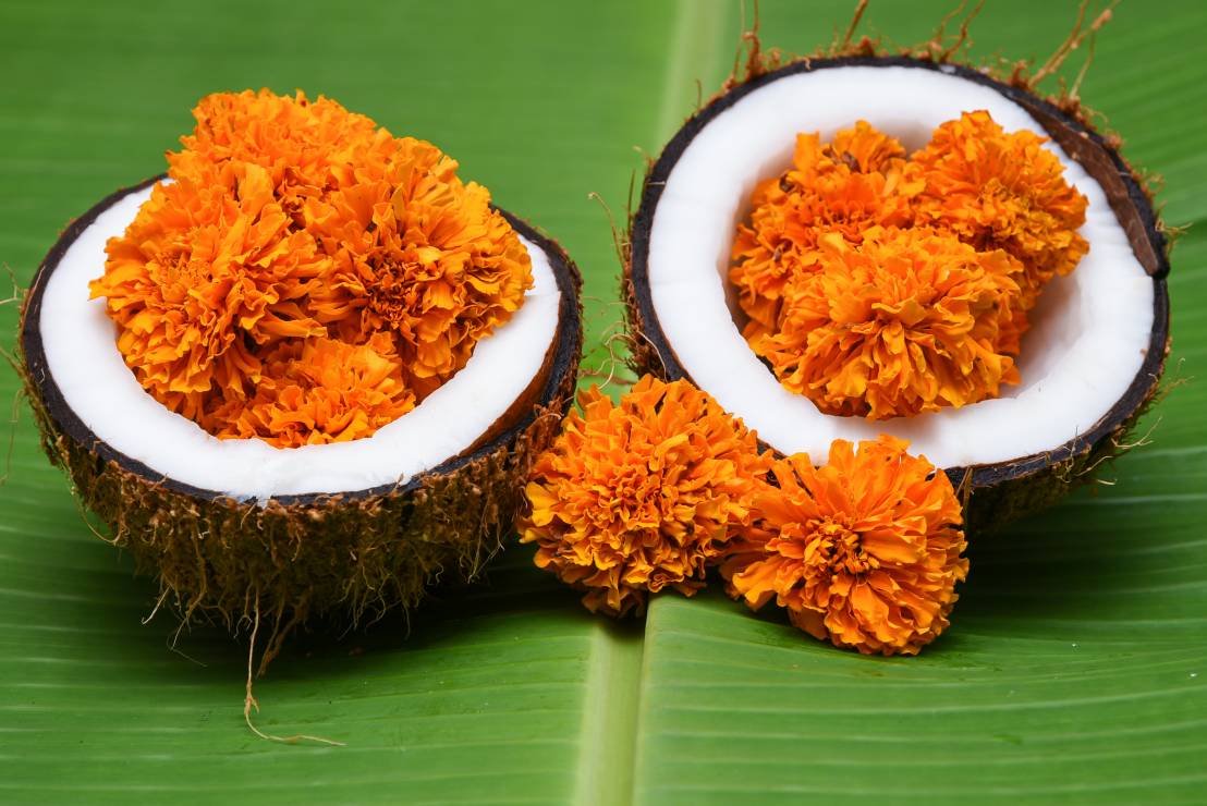 W medycynie ajurvedyjskiej do leczenia ciała i ducha używa się np. liście bananowca, kokosy i kwiaty