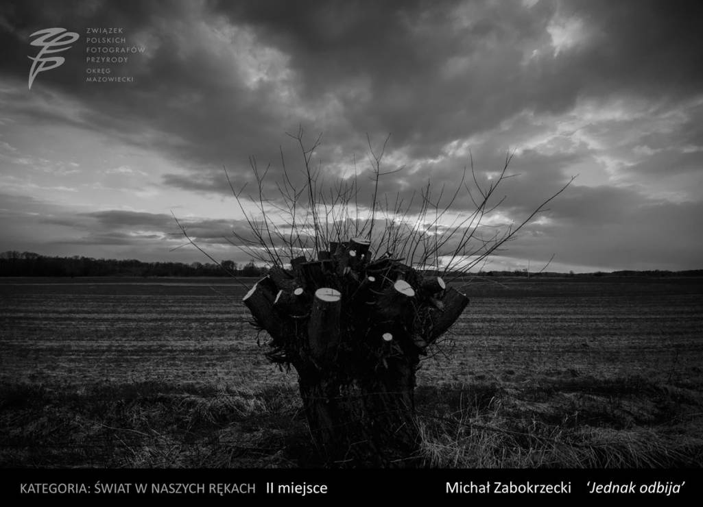 Konkurs na Fotografa Roku 2016 Okręgu Mazowieckiego ZPFP