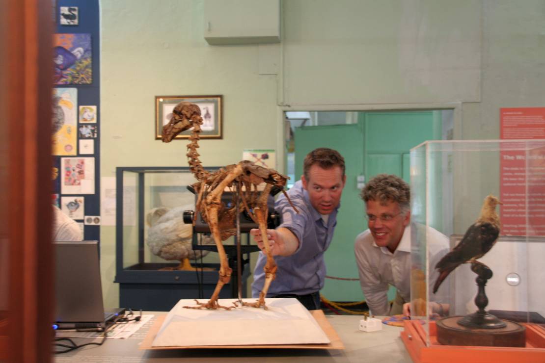 1_Claessens and Rijsdijk with Port Louis Dodo skeleton
