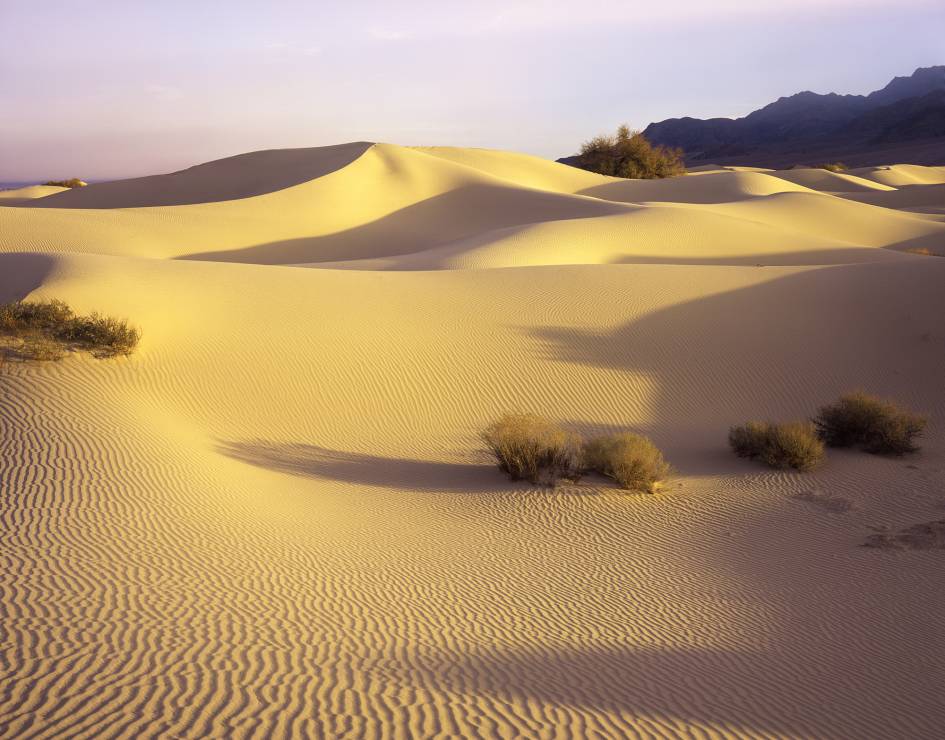 Death Valley Dunes, California