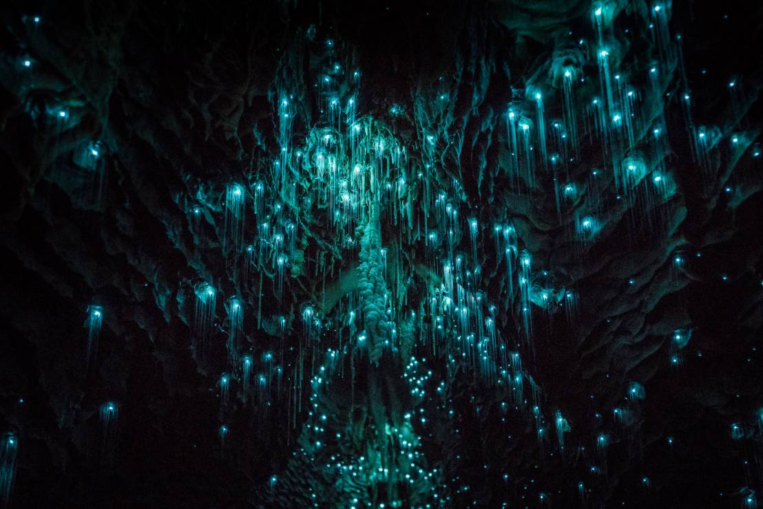 Świecąca jaskinia w Nowej Zelandii