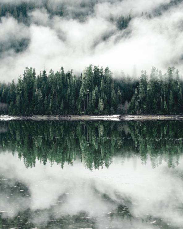 Lasy, góry, mgła... Zdjęcia Dylana Fursta
